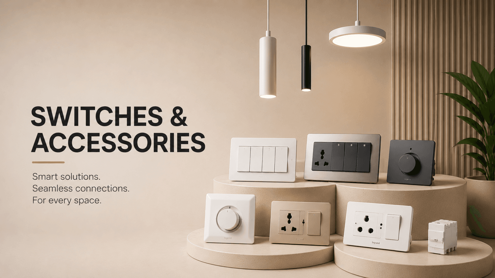 Switches & Accessories